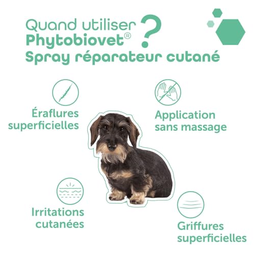 MP Labo Phytobiovet® Spray Réparateur Cutané pour Chien et Chat 30 ml - A l’Aloe Vera et à l’Extrait de Bourgeon de Hêtre - Labellisé Ecocert Ecosoin Bio des Animaux – vue 7