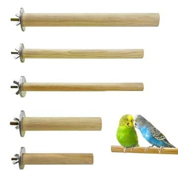 best bird perches for canaries