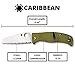 Spyderco Caribbean Salt Sheepfoot Knife with 3.70