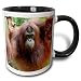 Produktbild Bornean Orang-Utan Primate, Borneo, Malaysia Tasse, 313 ml, Schwarz