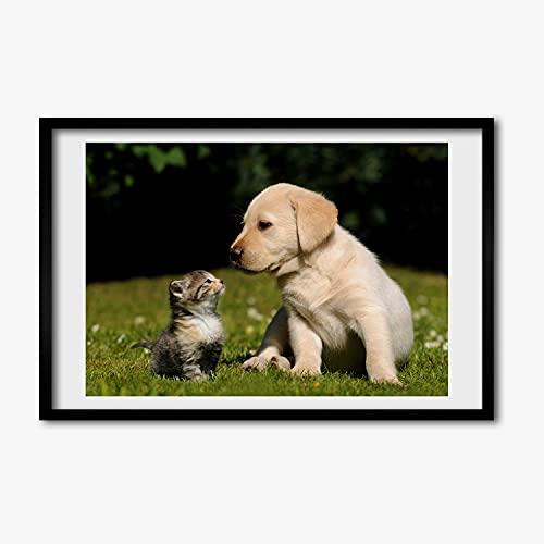 Tableau moderne chien et chat complicité animale sous cadre