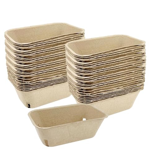 Cestas de fibra de pasta natural genéricas – 50 recipientes pequeños de bayas ventiladas, cesta de frutas ecológicas para el mercado de la carretera
