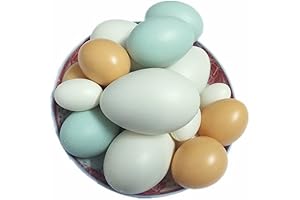 Spectacularly Lifelike Artificial 16-Pack Goose Eggs for Every Occasion