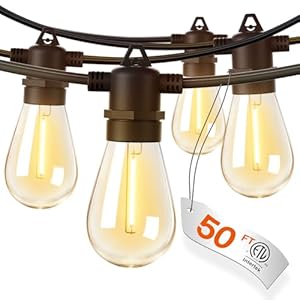 addlon 50FT LED Outdoor String Lights with Edison Shatterproof Bulbs, Weatherproof Strand, Commercial Grade Patio Lights, Decorative for Garden or Patio, Black