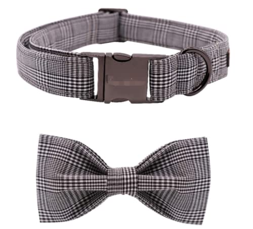 Breathable Mesh and Reflection Strap Cat Harness Cover
