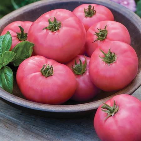 Nuevas semillas de tomate fresco, 90 unidades, color rosa