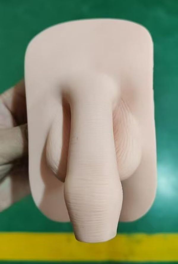 Mannequin Male Organ Female Organ Replacement Module