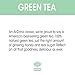 AriZona Green Tea, 16.9 Fl Oz (Pack Of 20)