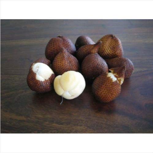See full amazon price history chart for Royal Paradise Garden Rare Snake fruit Salak Seeds for Growing (5 Seeds Pack) Royal Paradise Garden Rare Snake fruit Salak Seeds for Growing (5 Seeds Pack) (B07H39GDY5) Amazon Price History, Amazon Price Tracker