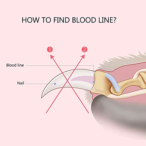 Festnight Profissional Pet Dog Nail Clipper com Lock Grooming Scissors Clippers para Animais Gatos T