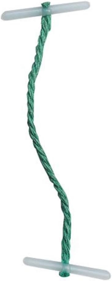 5 Star Treasury Tags Plastic-Ended 76mm Green [Pack of 100]