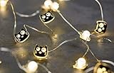 Ed, the Cat Mini-Lichterkette | 2,20 m LED-Lichterkette im Katzen-Design | 20 LEDs für den Innenbereich