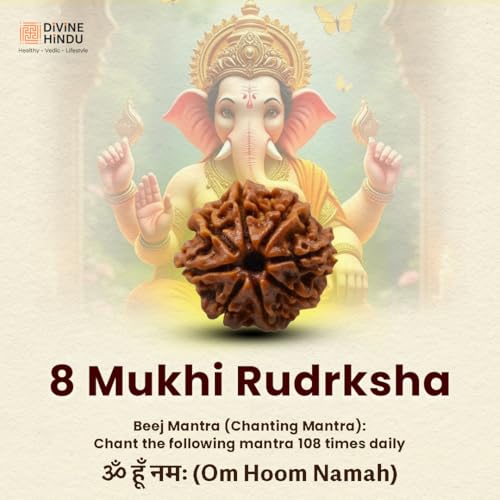 Image of Original 8 Mukhi Original Rudraksha Bead Nepali Origin Lab Certified Symbol of Lord Ganesha Removes Obstacles and Brings Wisdom Meditation, Pooja, Healing for Men & Women