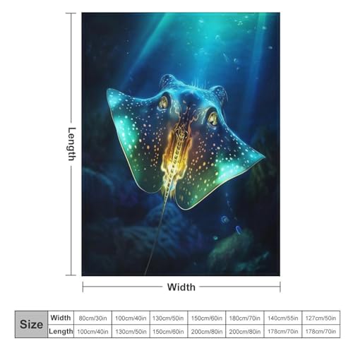 Couverture MFourmia Ray flannel douce et chaude idée cadeau originale