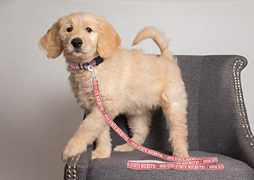 Pets First College Ohio State Buckeyes Pet Leash, Large by Pets First - Used condition - Image 2