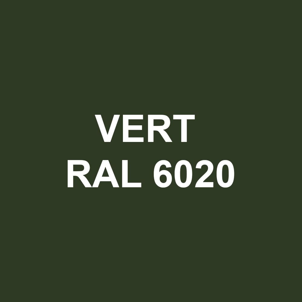 Gelcoat Polyester | 1 kg | Vert RAL 6020 | + Catalyseur PMEC + Pipette de dosage 3 ml, Gel Coat pour Bateau, Topcoat pour Camping car