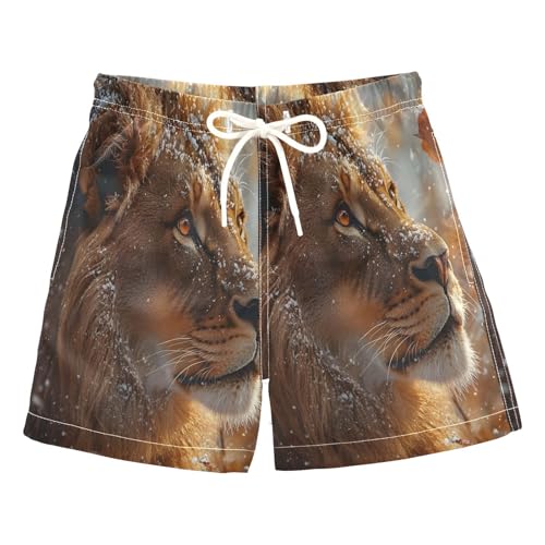 Boys Swim Trunks Toddler Swim Shorts Little Boys Swimwear Winter Lion Bathing Suit Swimsuit Multi