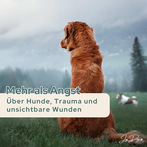 Mehr als Angst: &Uuml;ber Hunde, Trauma und unsichtbare Wunden