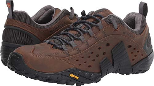 Merrell Men's Intercept Trail Shoe, Dark Earth, 9 M US - 1