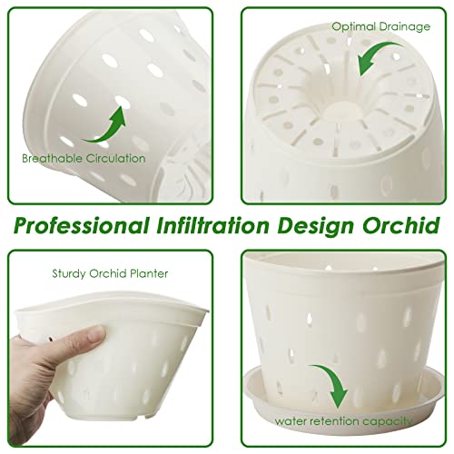 BestAlice 5 Pack Orchid Pots, 5.6 Inch with Holes and Saucers, Clear Plastic for Plant and Repotting Garden Planters for Home Office - Image 4