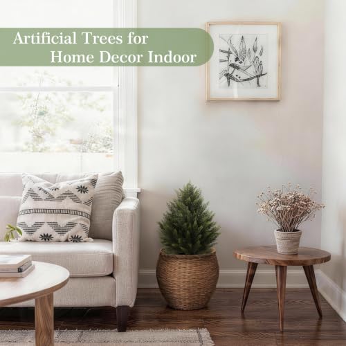 Image of Vitalismo 2FT Artificial Cedar Trees Set of 2 for Outdoor Front Porch