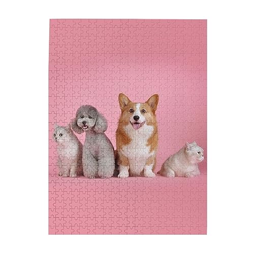  ˂ 킢 i11j500s[X WO\[pY l jЂȂ J`ƃn} a  CeA MtgnEX i52×38cmj