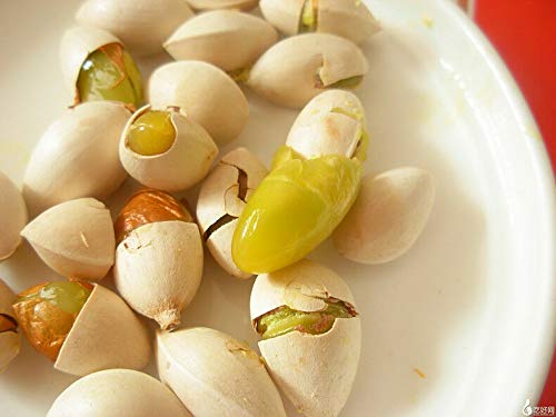 通用 50g-500g Ginkgo Biloba Plata Madura Albaricoque Nuez Herbal Chino Natural Orgánico Comida Saludable (50g) - Imagen 5