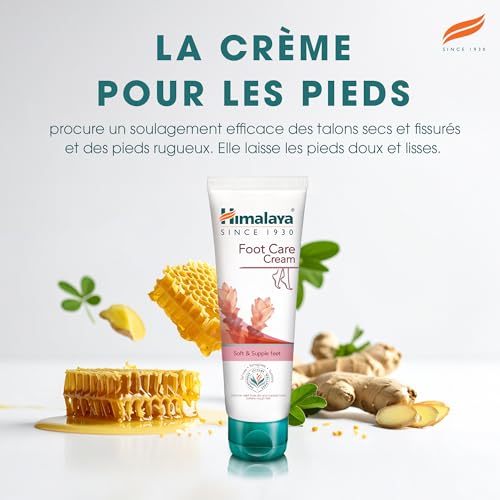Himalaya Herbals Foot Care Cream | for Dry and Cracked Heels | with Antiseptic, Antimicrobial and Moisturizing Benefits | Made from Natural Ingredients -75g – vue 3