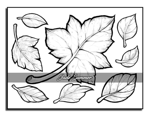 Easy Coloring Book: Large Print Designs for Adults and Seniors with 50 Simple Images of Animals, Flowers, Food, Objects, and More! (Easy Coloring Books) - Image 40