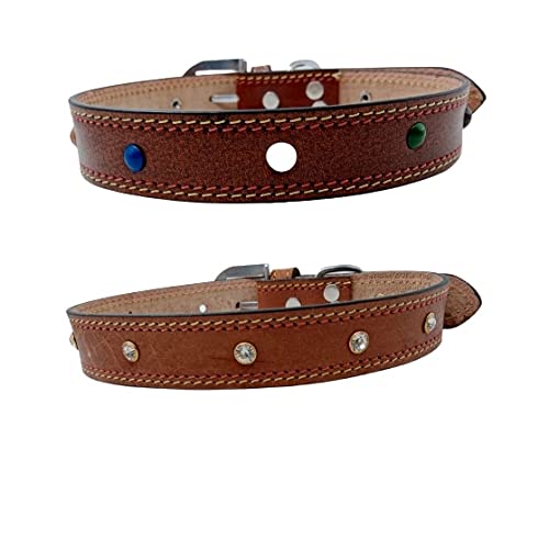 Forever99 Pet Shop Studded Leather Dog Collar Neck Belt for All Stage Breeds Large 18 to 21 inch Neck for fit Combo Pack 2 Art#-113 (B08C35K31Z) Amazon Price History, Amazon Price Tracker