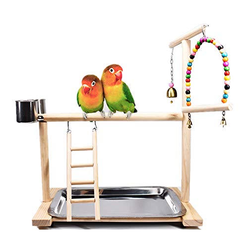 image for Dbeans Flourithing Bird Playground Parrot Playstand, Bird Play Stand w