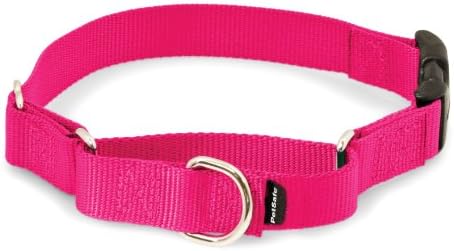 martingale clip collar