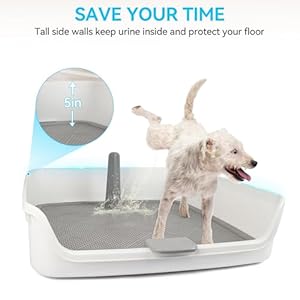 ALL FOR PAWS Dog Potty Tray Indoor Dog Pee Pad Holder Dog Toilet Puppy Litter Box with Removable Post, Raised Sides, Large Space, Shed Proof & Mess Free,Easy Clean-up, Great for Large Size Dogs ALL FOR PAWS Dog Potty Tray Indoor Dog Pee Pad Holder Dog Toilet Puppy Litter Box with Removable Post Raised Sides Large Space Shed Proof Mess FreeEasy Clean up Great for Large Size Dogs