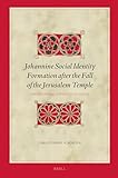 Johannine Social Identity Formation after the Fall of the Jerusalem Temple Negotiating Identity in Crisis (Biblical Interpretation, 194)