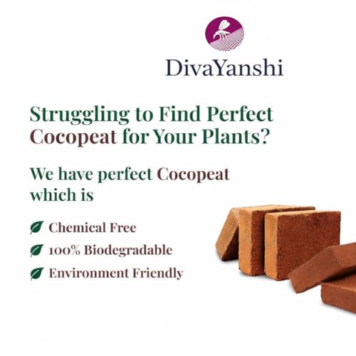 Image of Divayanshi Cocopeat Block for Plants & Gardening | 100% Natural Organic Growing Medium | High Water Retention Soil Conditioner for Home Garden, Nursery & Pots- 2kg