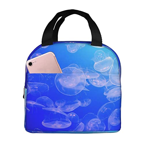 C̐E NQ ۉ ۗ⃉`obO ٓ 킢 e ܂ y RpNg fMA~V[g |Pbgt g[gobN jp ʋ ʊw 