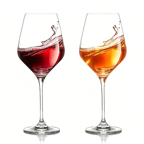 ZoneYan Calici Plastica Rigida Lavabili, 2 Pezzi Calici Vino Plastica 420ml, Bicchieri Plastica Rigida Lavabili, in Tritan, BPA-Free, Bicchieri Vino Rosso, Vino Bianco (A)