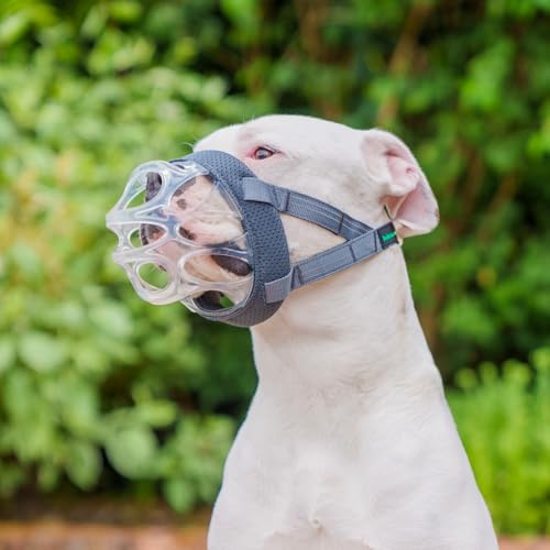 Baskerville INVISA Basket Dog Muzzle - Patented Humane Design with Facial Visibility, Padded Nose Band, Dog can Pant and Drink, Prevents Biting and Scavenging. Muzzle for Large Dogs (Size 6) by Baskerville - Image 2