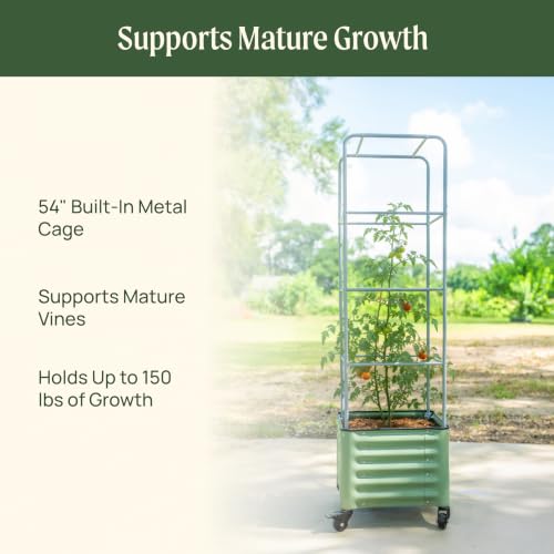 Image of Vego garden Classic Rolling Cube Tomato Planter with Metal Cage & Wheels, 30 Gallon Rolling Planter for Tomatoes, Peppers & Beans, 21 inch x 21 inch x 19 inch, 54 inch Plant Support Cage-Olive Green