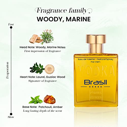 Perfume Vodka Brasil Amarelo 100ml Paris Elysses