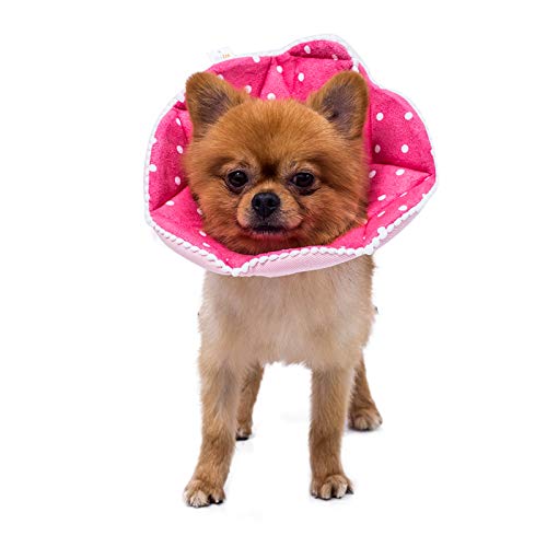 Adjustable-Dog-Cat-ConeSoft-Recovery-Cat-Cone-CollarDog-Protective-Collar-for-Cats-and-Puppy-SurgeryPinkSmall Adjustable Dog Cat ConeSoft Recovery Cat Cone CollarDog Protective Collar for Cats and Puppy SurgeryPinkSmall