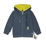 Ein Motiv, das Jungs begeistert: - applizierter Skateboard fahrender Dino; - Stickerei 