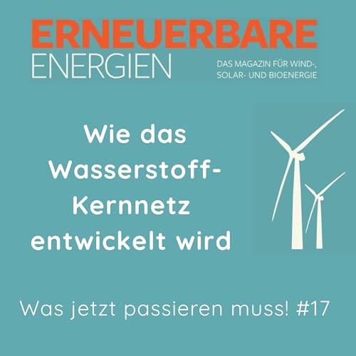 Wie das Wasserstoff-Kernnetz entwickelt wird