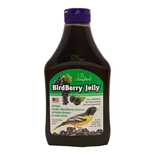 Songbird Essentials Bird Berry Jelly 20 Oz