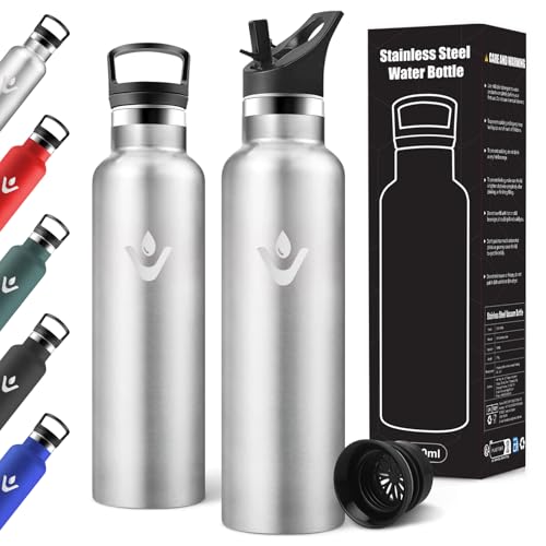 Motswedi Gourde Isotherme 750 ml, Double Isolation, Gourde Inox avec Paille, Acier Inoxydable 18/8, Thermos Isotherme, Reutilisable, Bouteille d'eau pour Fitness, Randonnée, Camping, Acier Inoxydable