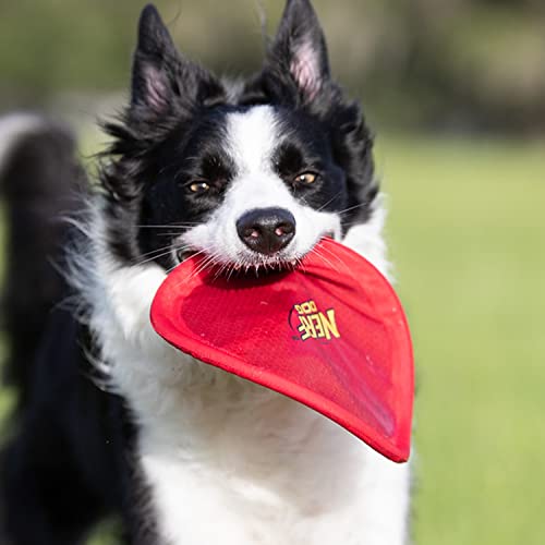 image for Nerf Dog Nylon Flyer Dog Toy, Flying Disc, Lightweight, Durable and Wa