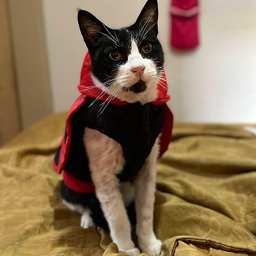 RONQUIDOS DE FELICIA | VOL. 1 Titelbild