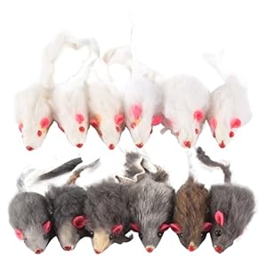 Joskeijky Kaninchen Fell Spielzeugmäuse 12er Pack