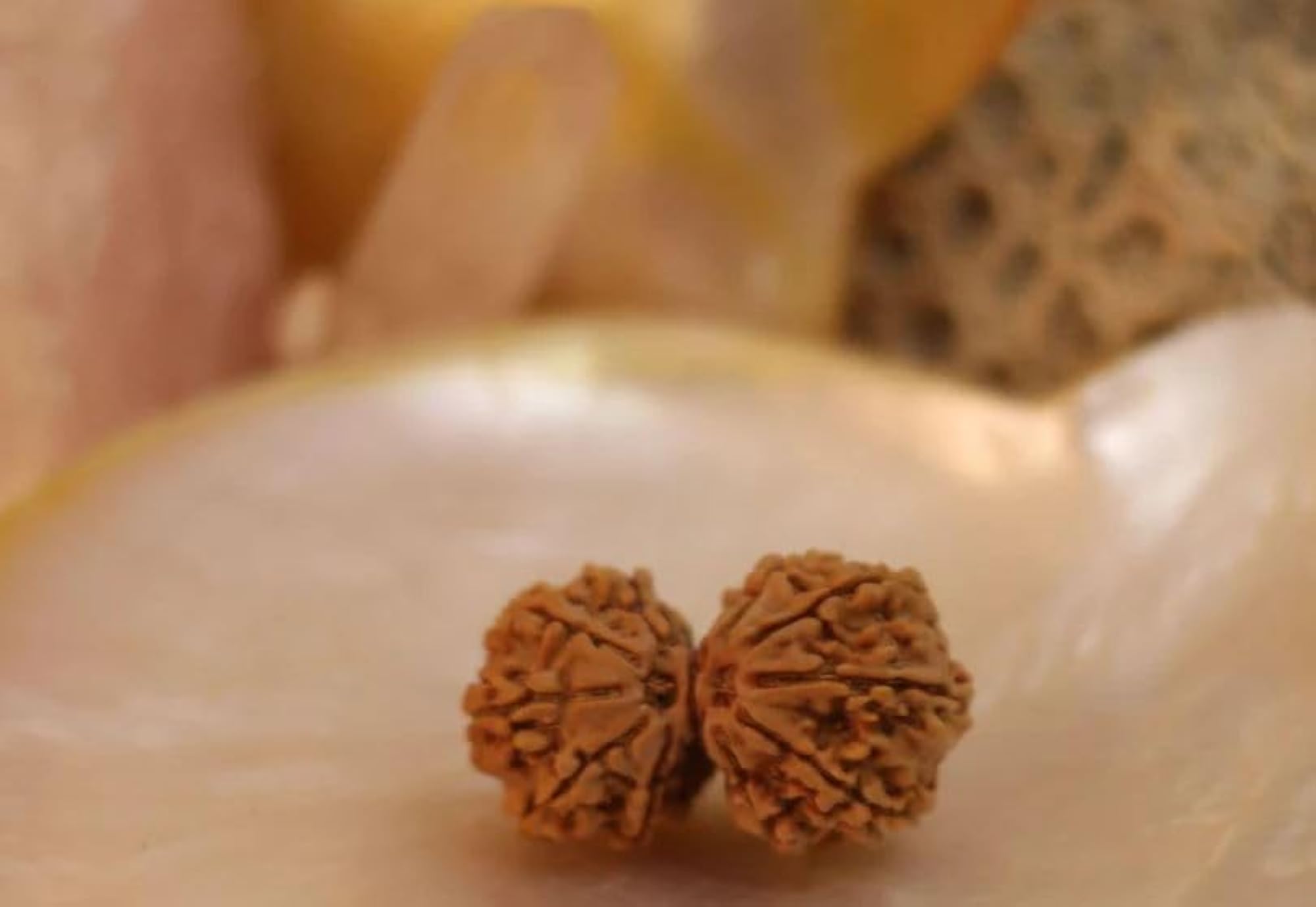 Gaurishankar Rudraksha Pendant, Shiv Parvati Joint