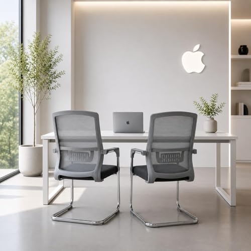 Image of OfficeFlow | Visitor Chair with arm Rest for Home Office Study Reception School College use with Chrome Finished Metal Frame | Cushioned seat, Chair Without Wheels (2, Grey)